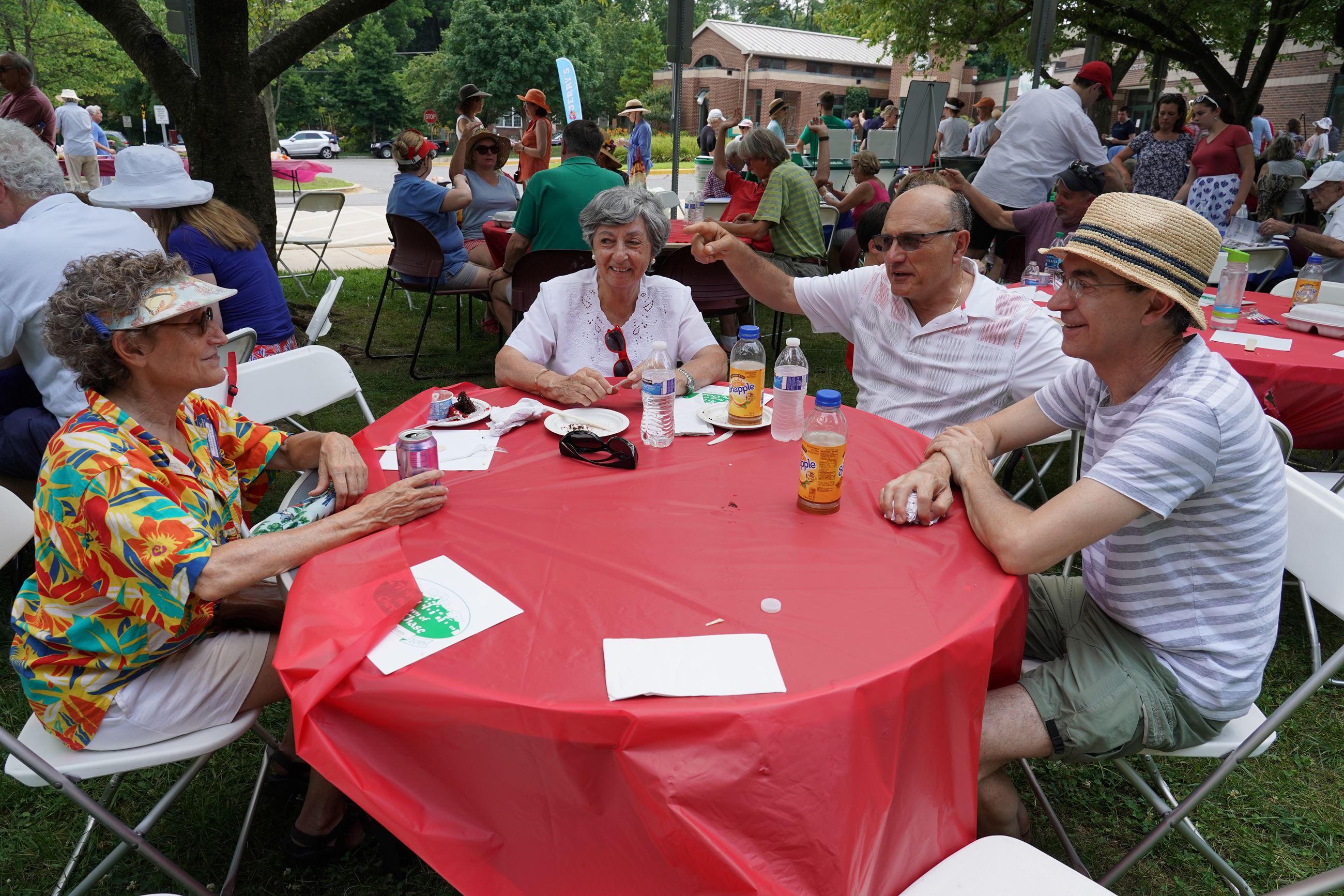 Independence Day Picnic and Parade